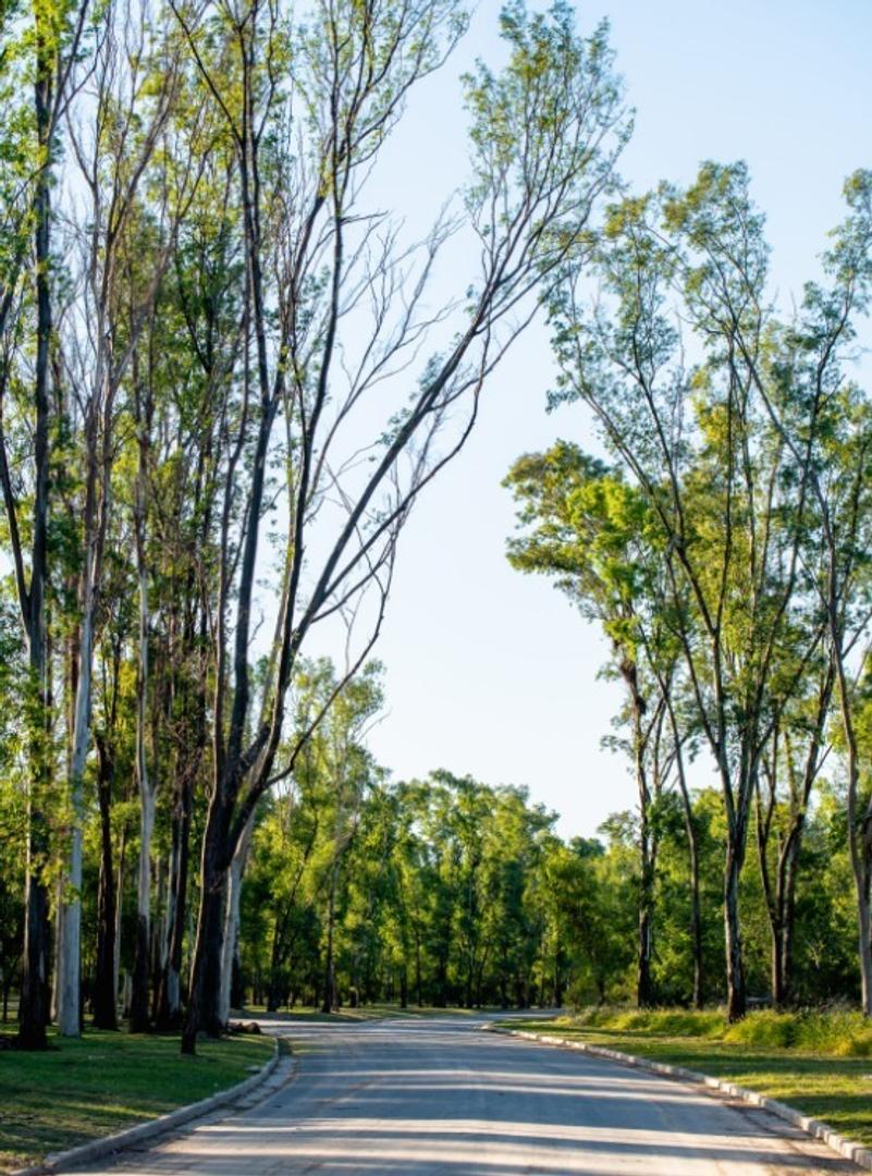 Terreno en Venta de 3120,0 m2