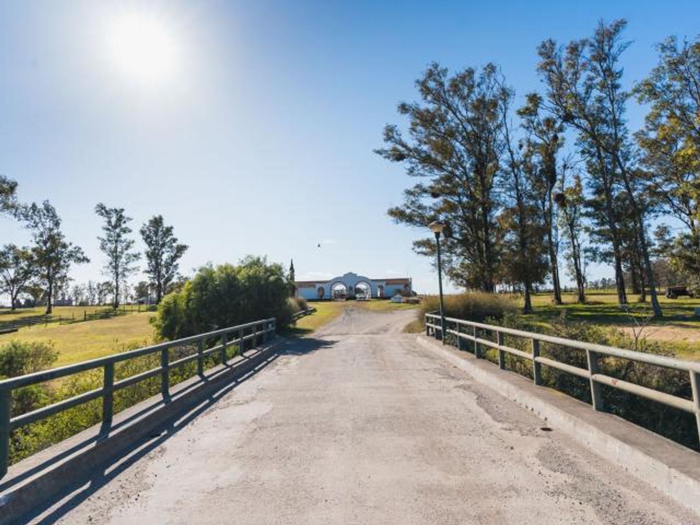 Terreno en Venta de 3832,0 m2