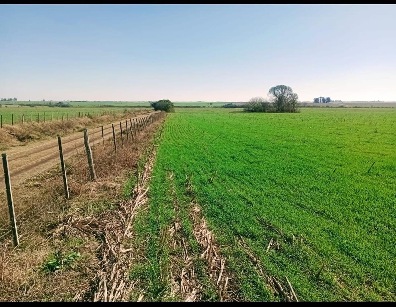 Hernandez Y Betbeder