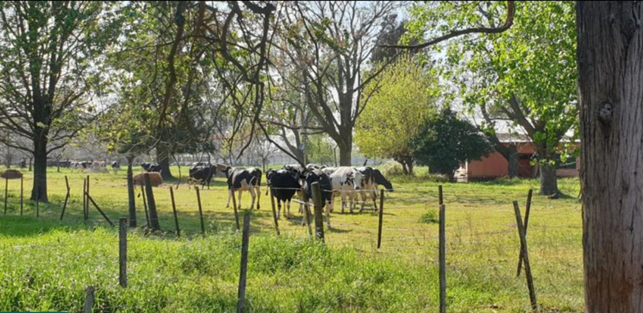 CAMPO VENTA GENERAL RODRIGUEZ