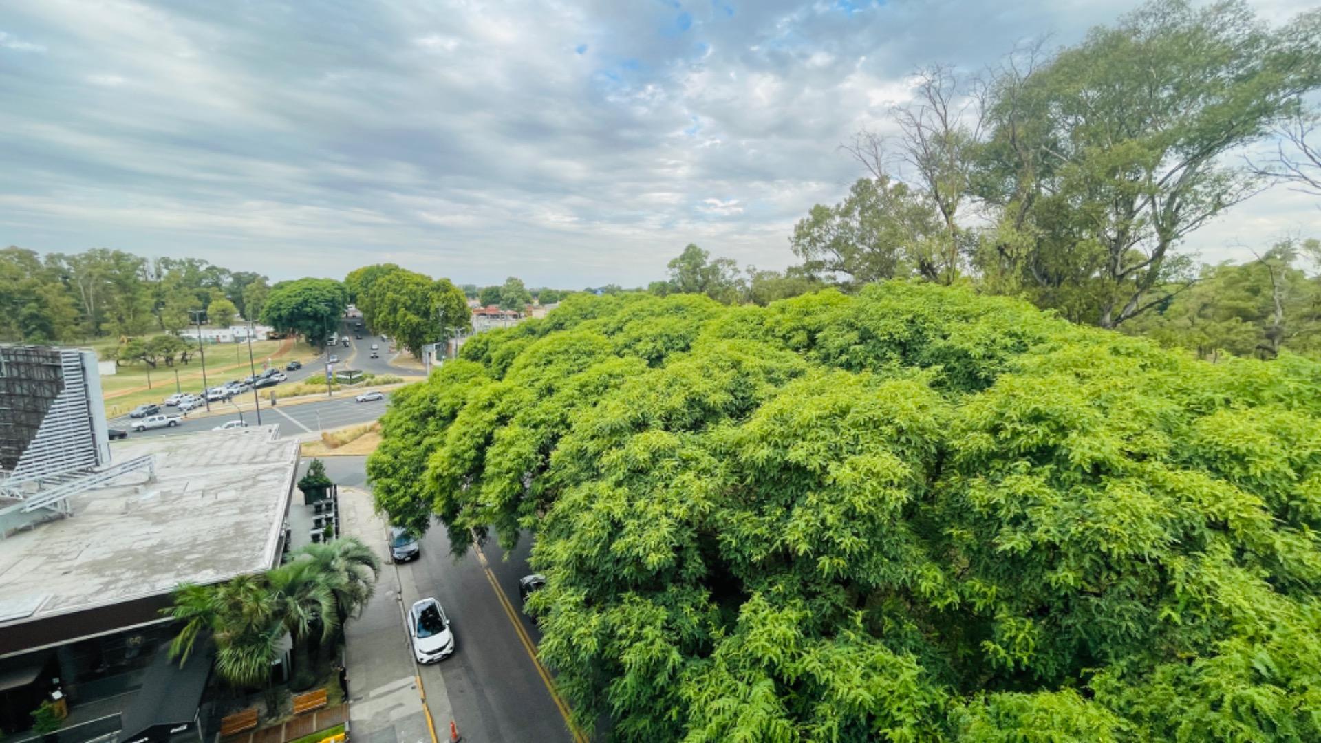 Departamento en Alquiler A Estrenar