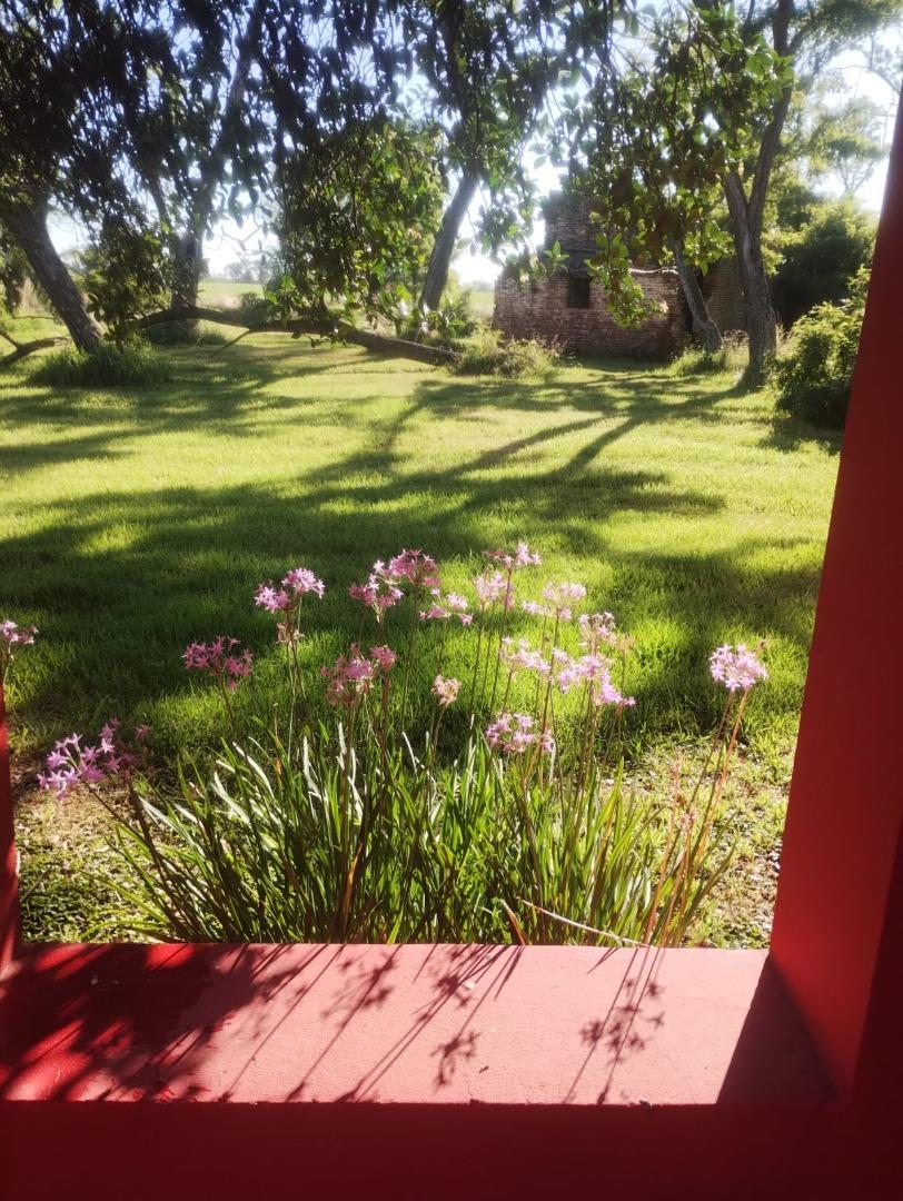 Camino Juan Manuel De Rosas