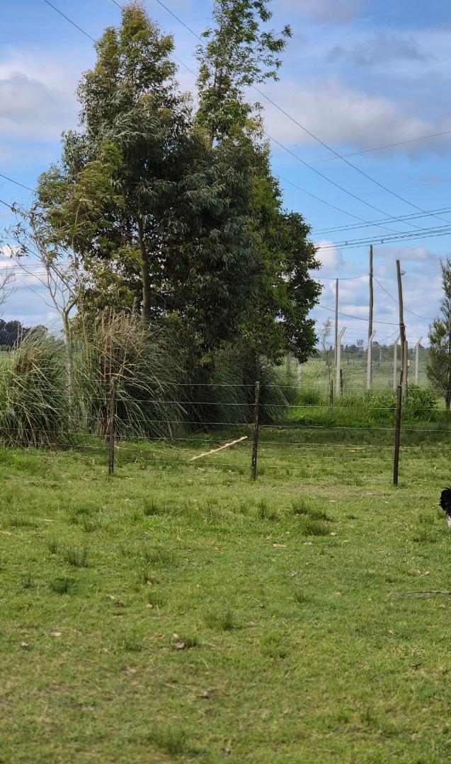 Brandsen Ruta 2 Km 51.5