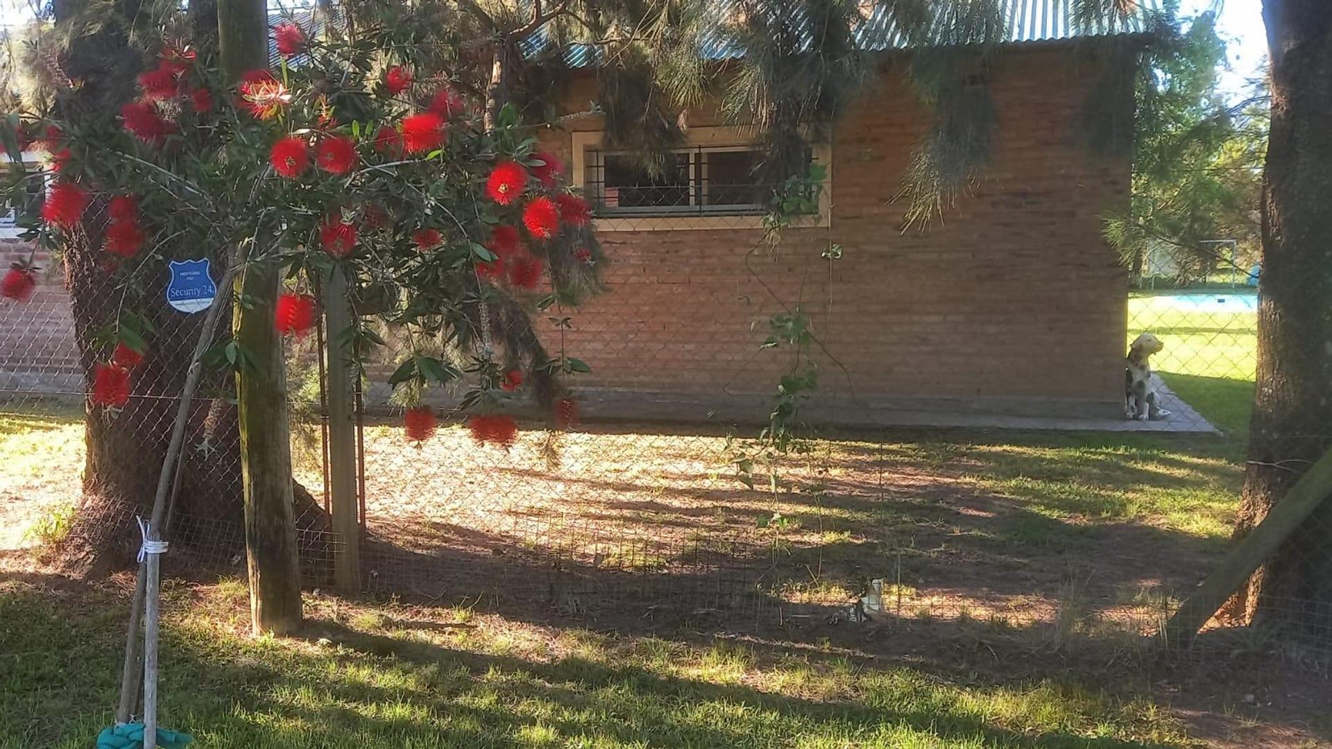 hostal del sol, Pacto federal 9348