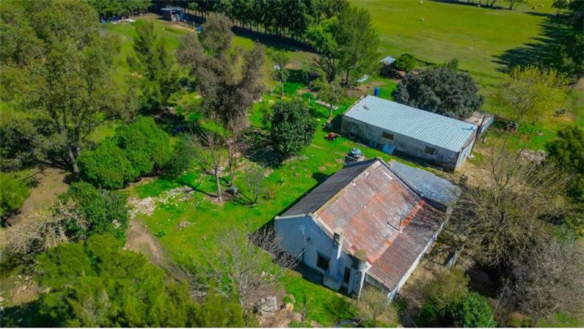 3.5 Ha, Colonia Wilson - Descanso  y Esparcimiento