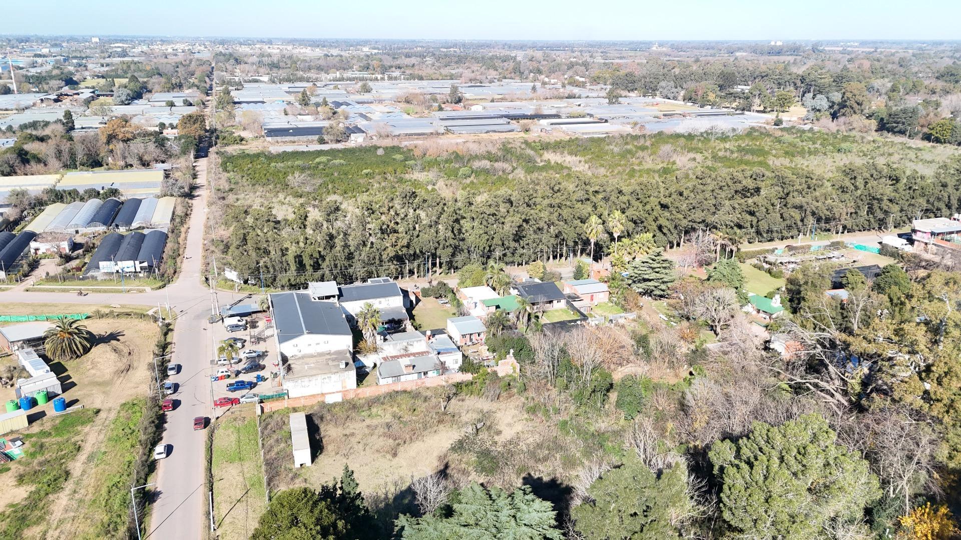 Los Alamos Y Las Araucarias