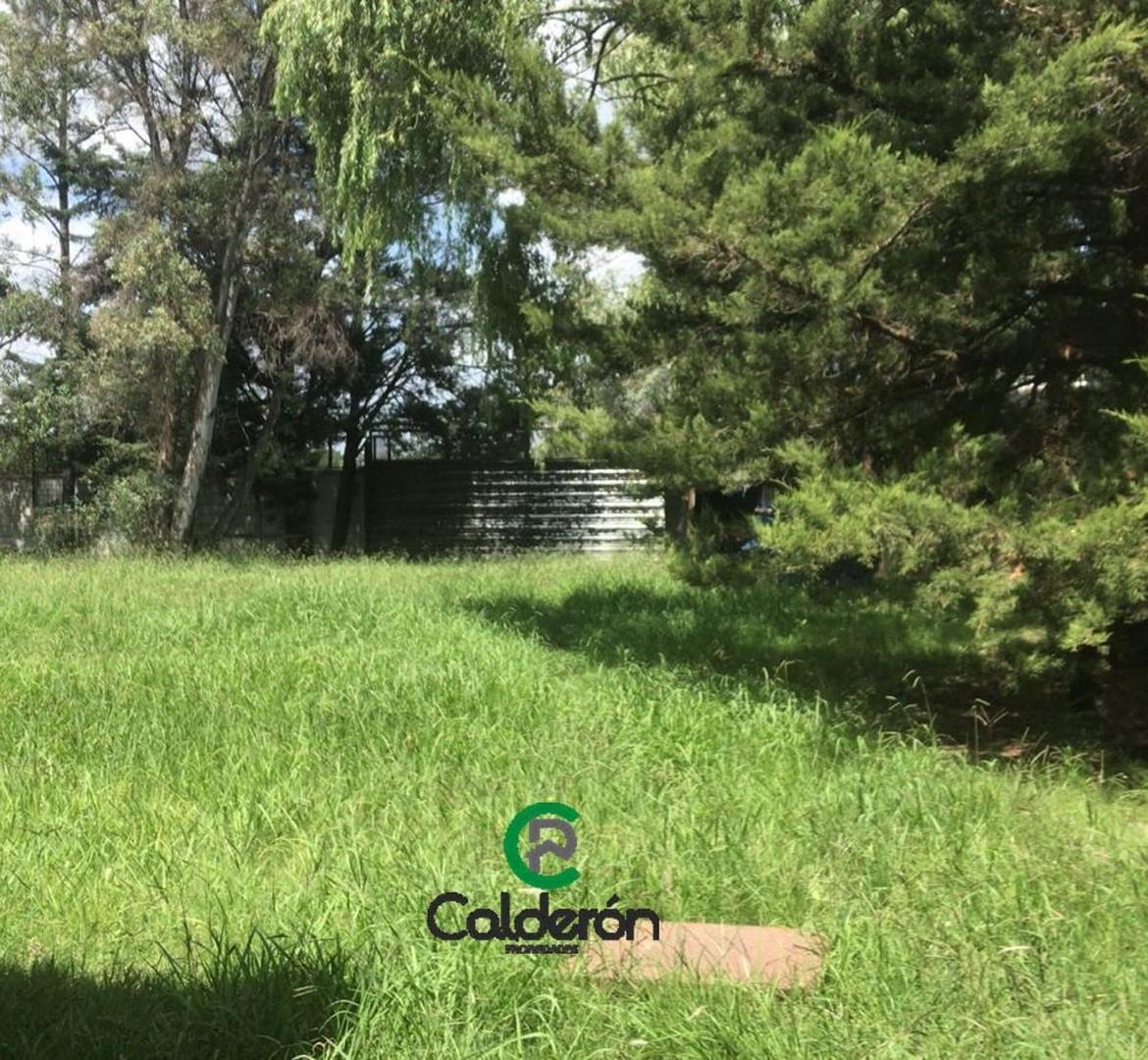 Las Rosas Y Los Abetos 3000, Francisco Álvarez, Moreno, Bs.as. G.b.a. Oeste 3000