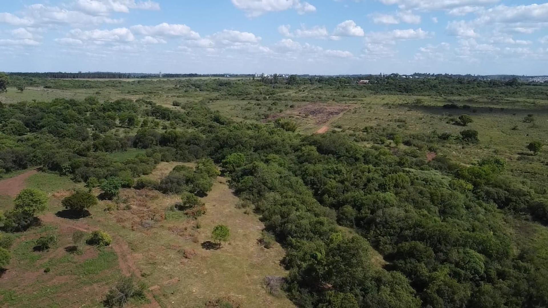 Imperdibles Hc En Nemesio Parma