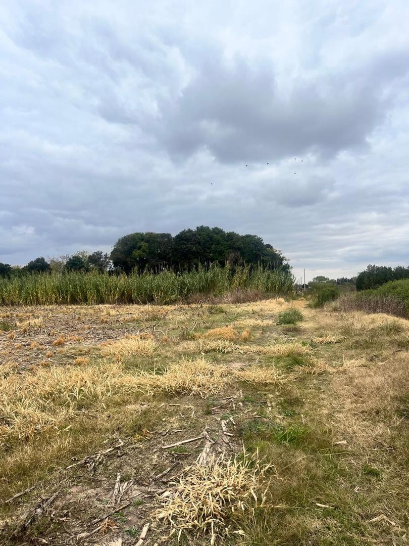 CAMPO 5 HAS EN VENTA EN PEREZ