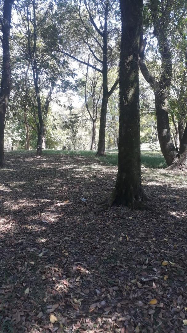 LA ARBOLEDA - TERRENOS EN VENTA