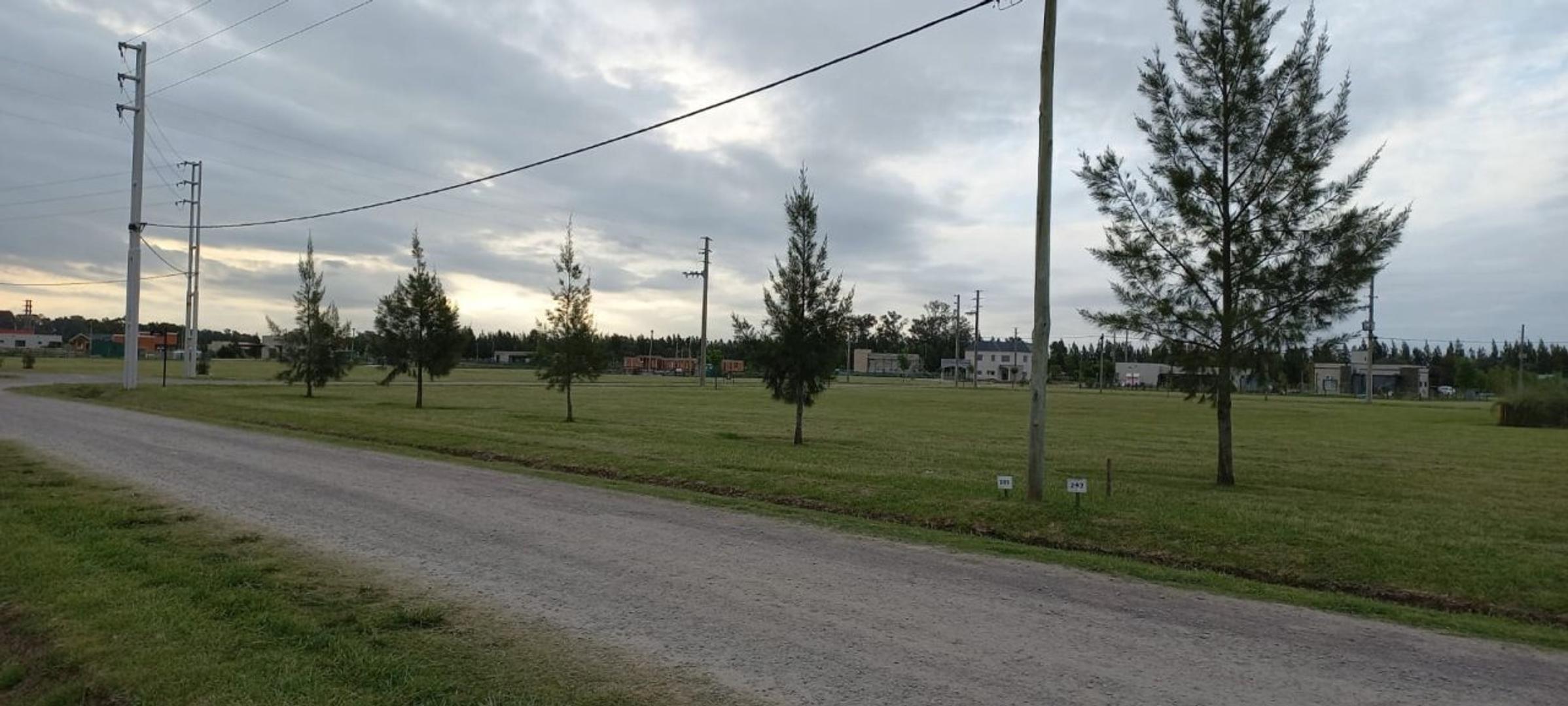 Fincas De San Vicente Sporting