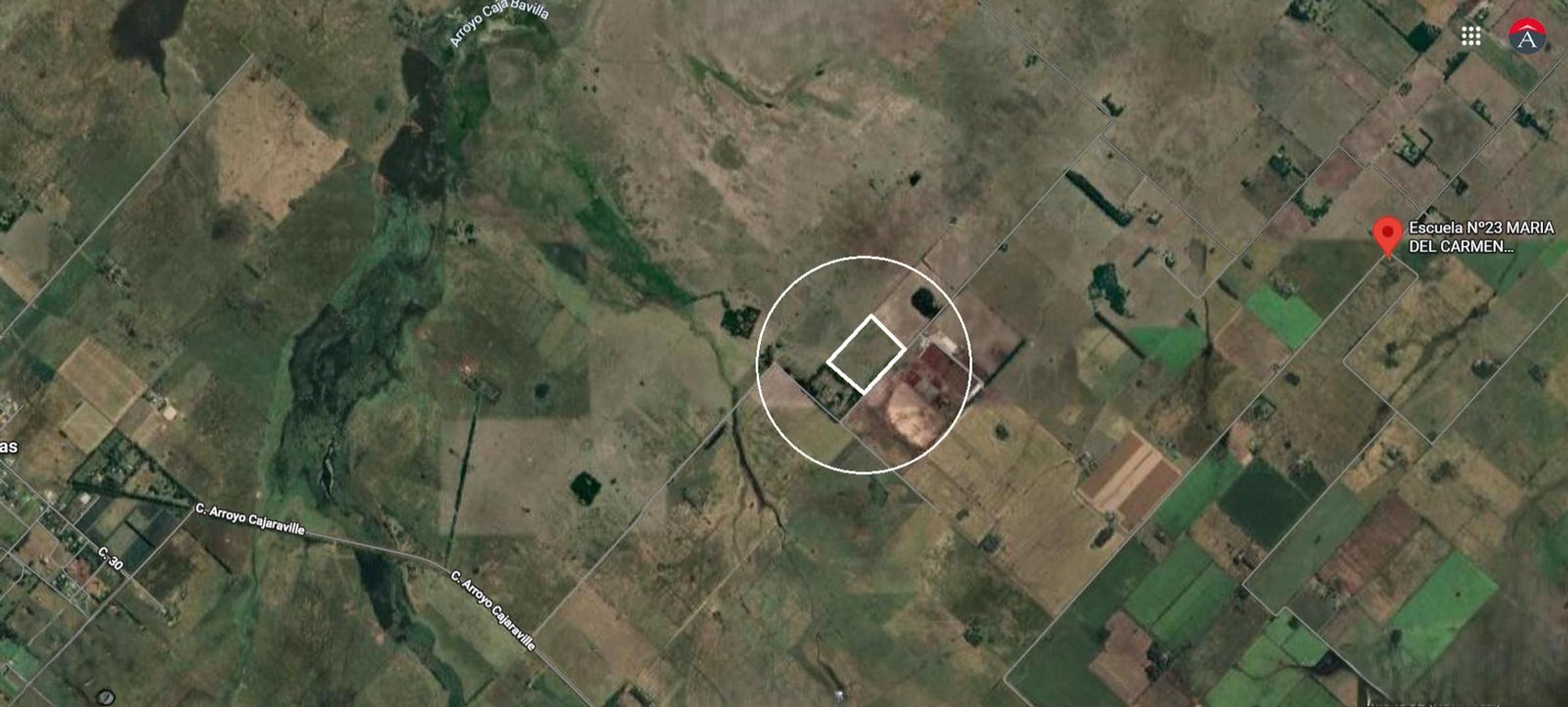 Campo - Hectareas en Bavio