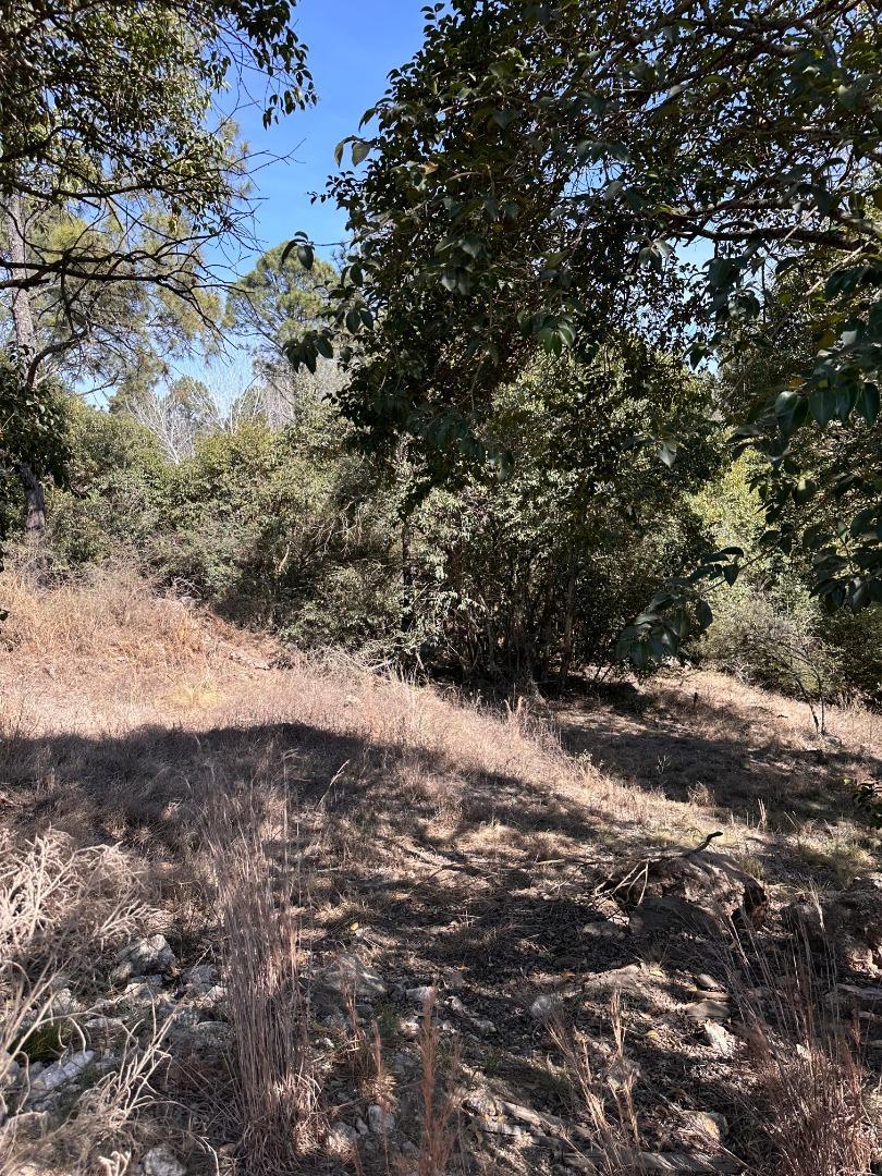 LOTE EN POTRERO DE GARAY