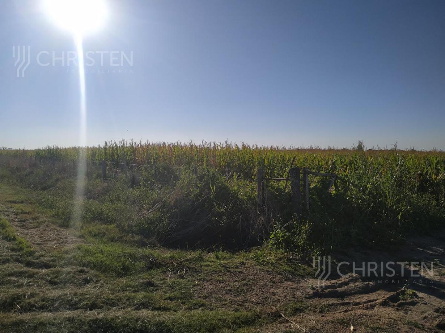 100 HECTAREAS AGRICOLAS EN CAYASTACITO