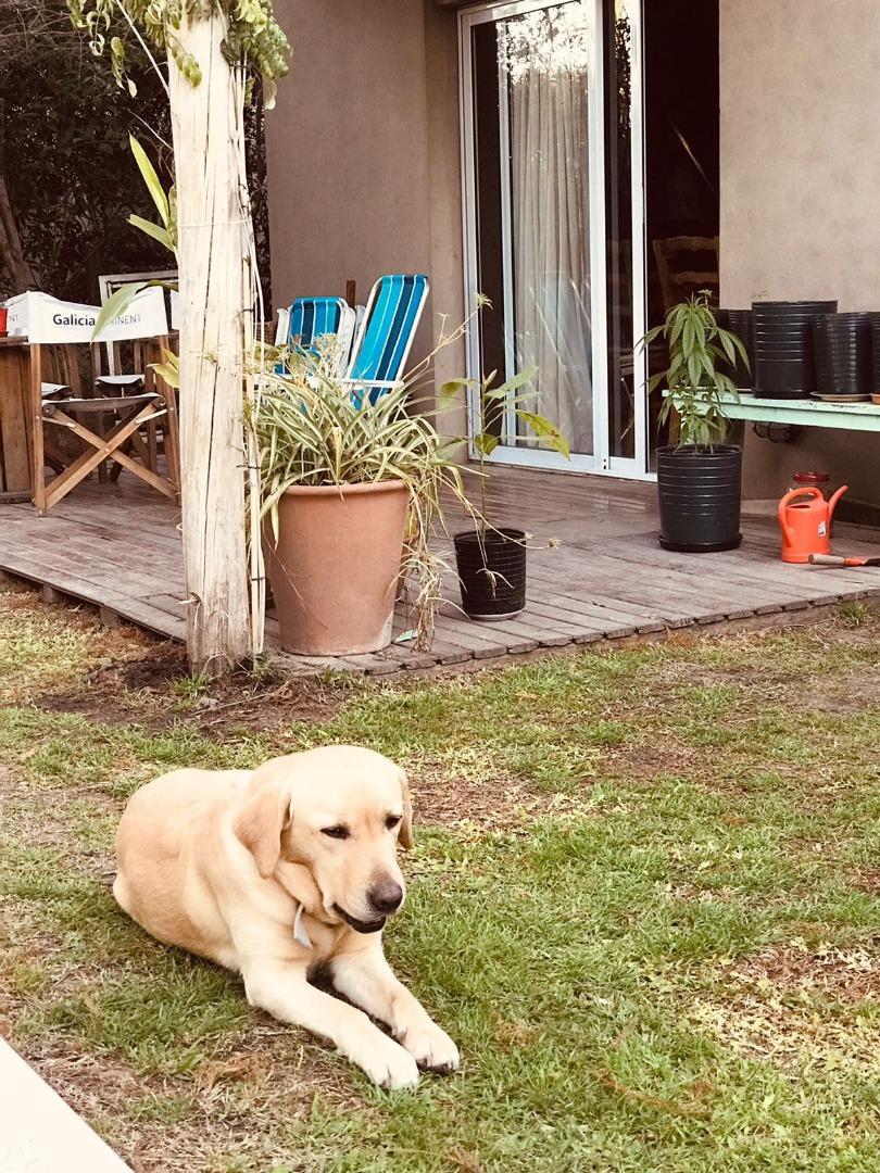 Casa en Alquiler Temporal con 2 cocheras