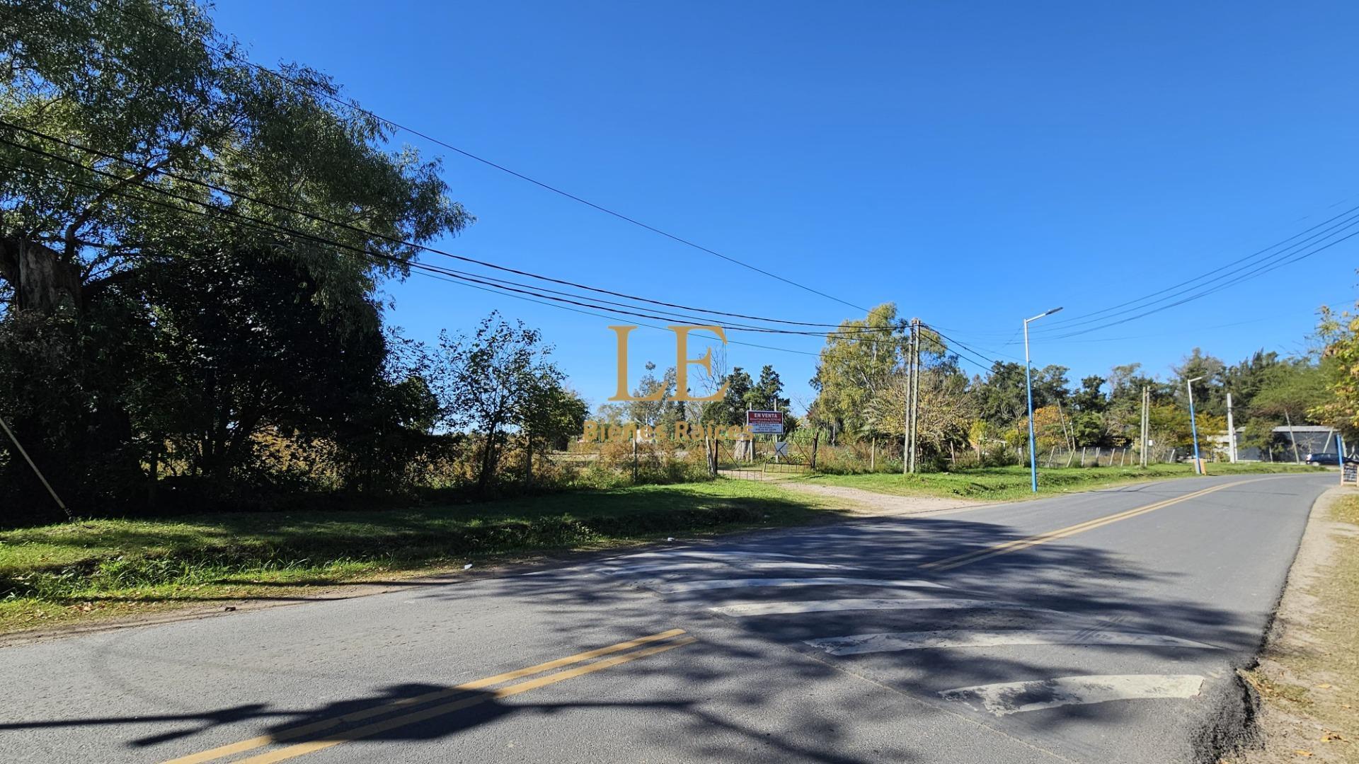 Av. Independencia 531