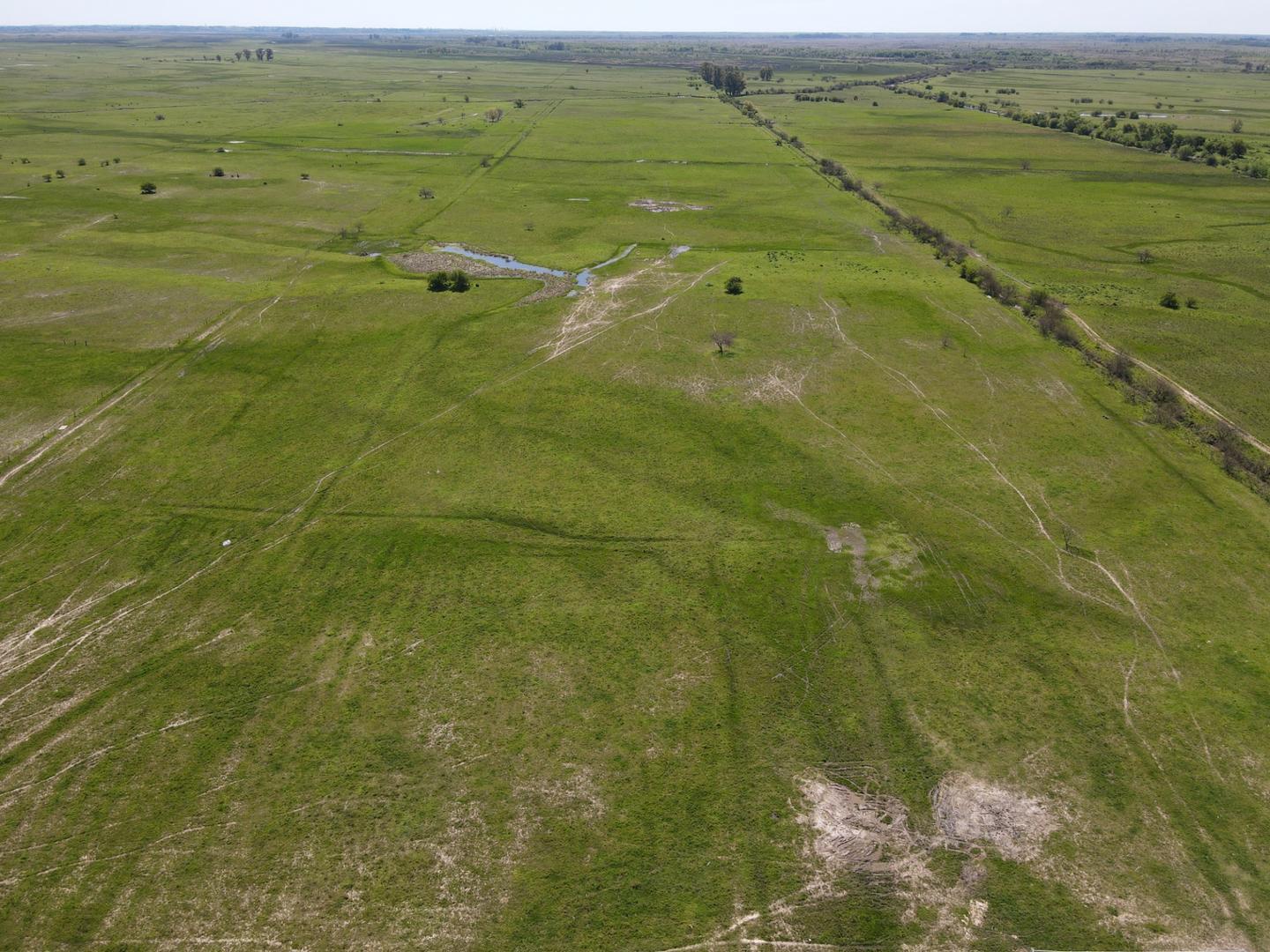 Venta Campo 100 hectáreas