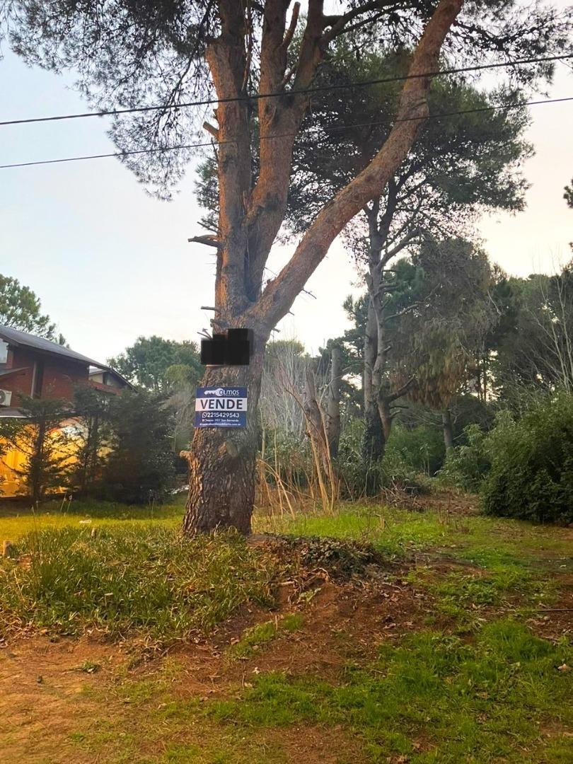 Terreno en Venta de 450,0 m2