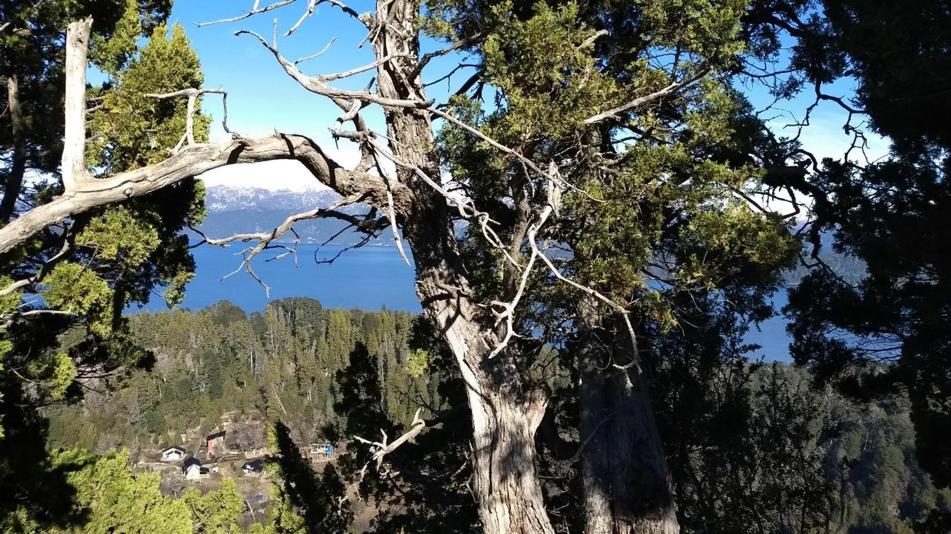 Terreno en Venta de 560000,0 m2