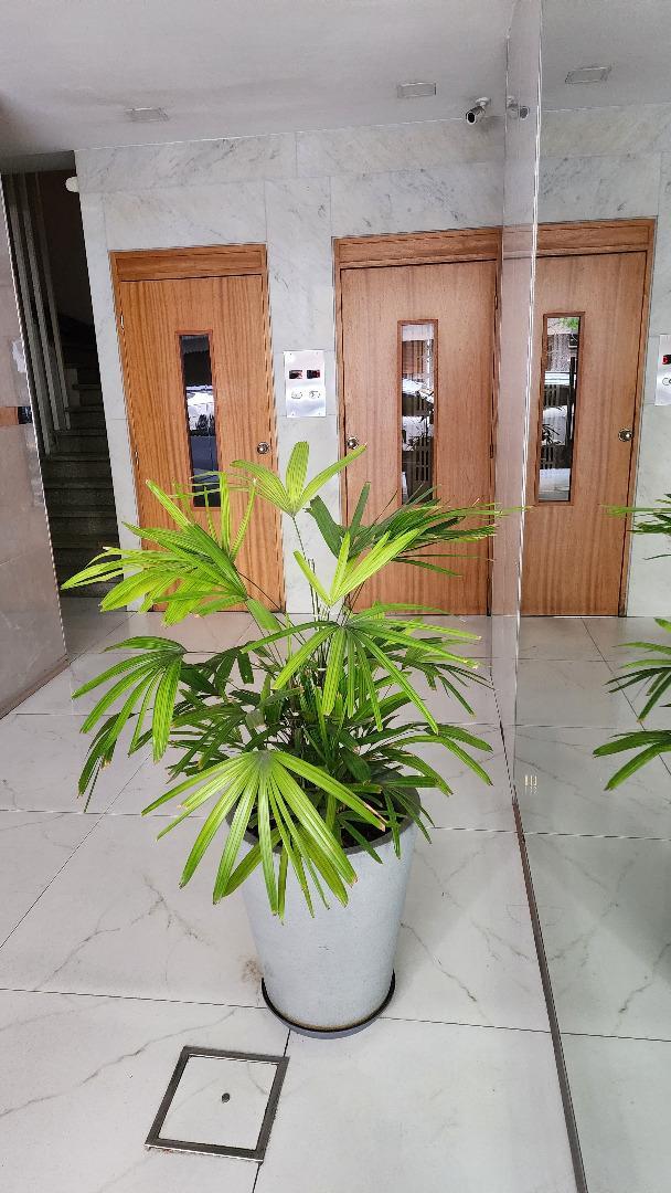 Guayaquil 100, Piso 3