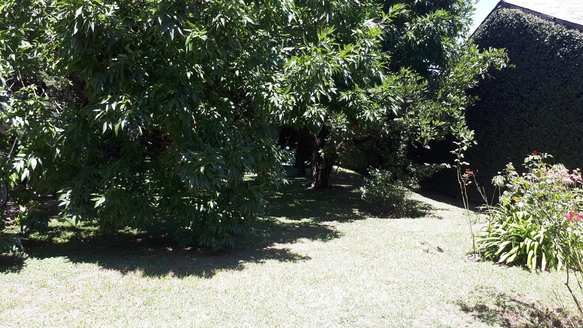 De La Querencia 4646