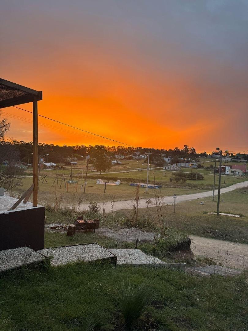 Estrella de mar 1094