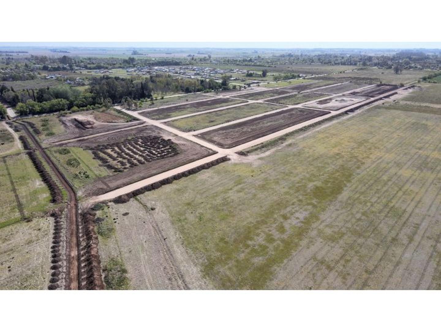 Alfredo Schilla 1000