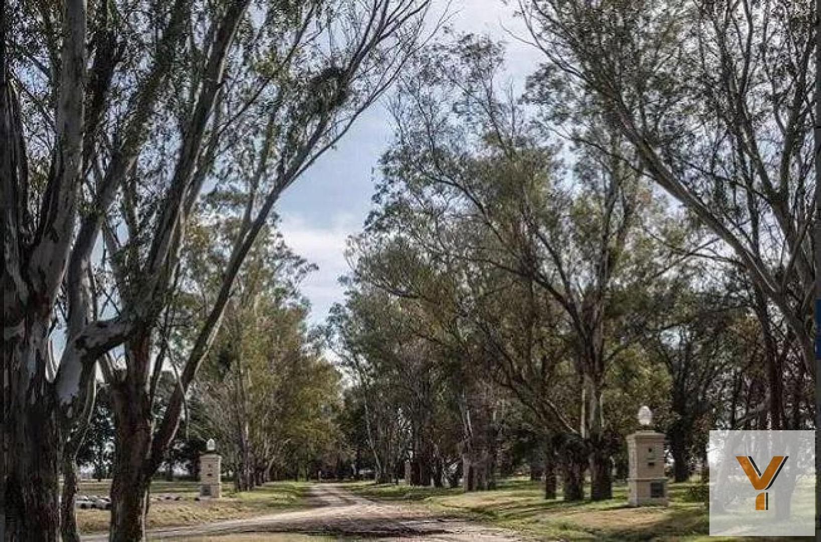 Terreno en Venta de 872,0 m2