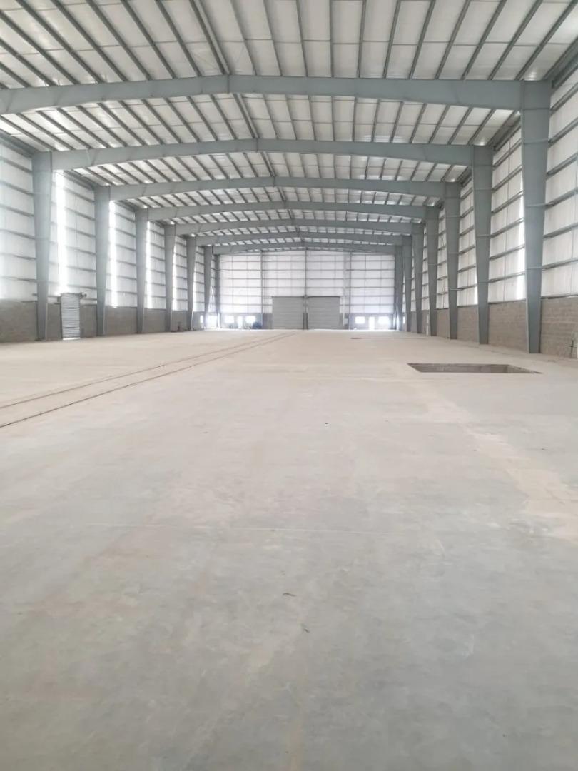 Puente Del Inca 2000