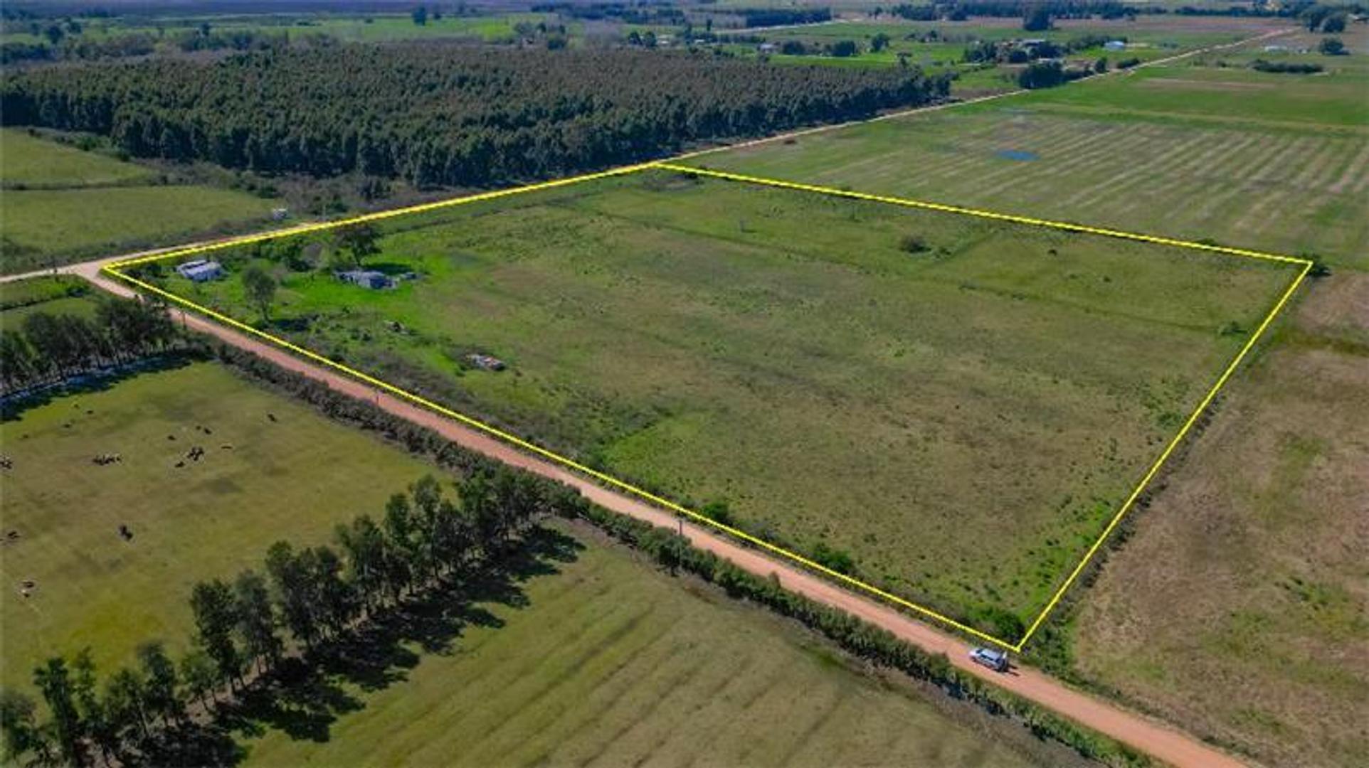 Esquina de 51.349 m². Colonia Wilson