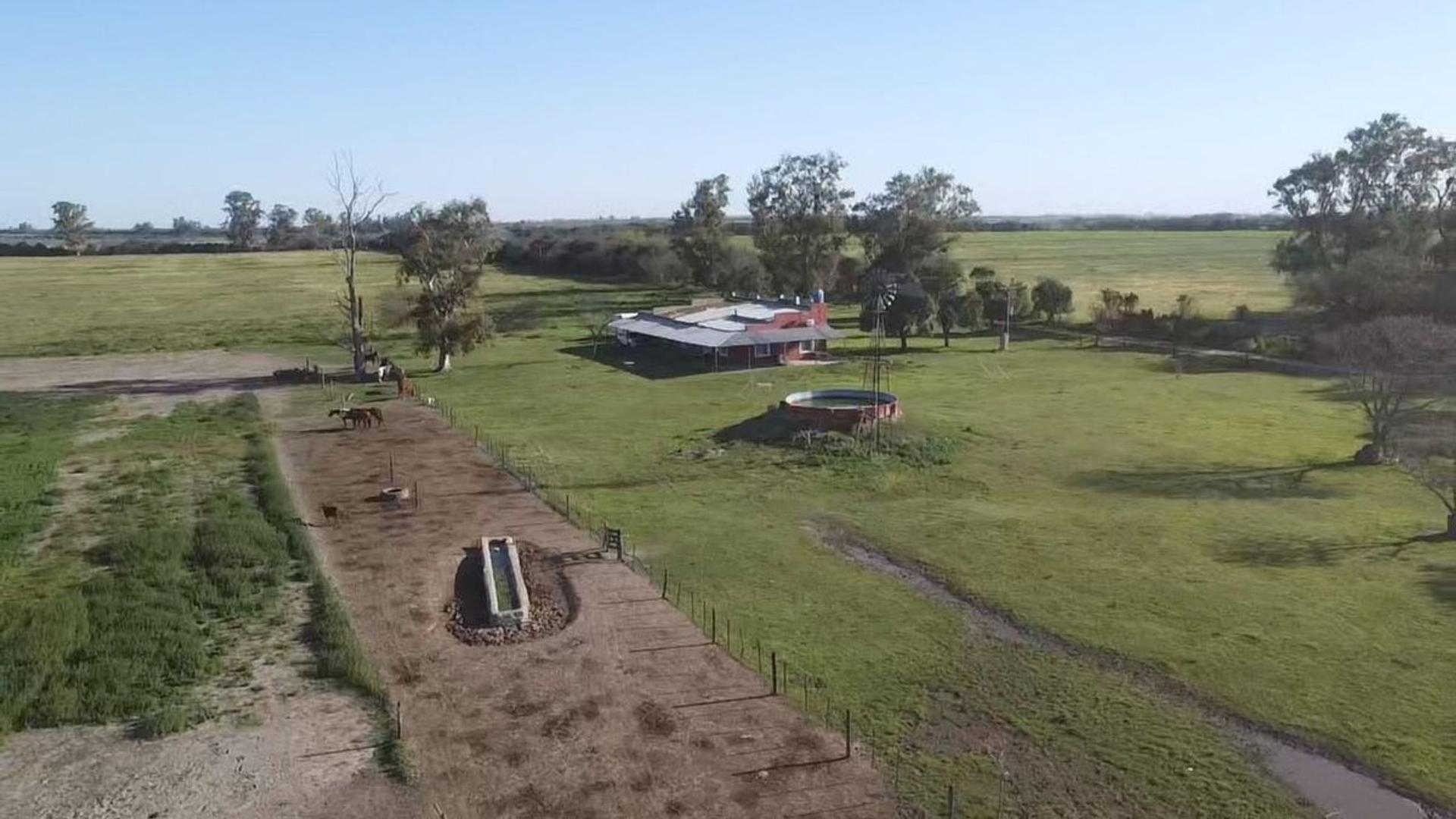 VENTA/CAMPO GANADERO/SOBRE RUTA/AURELIA