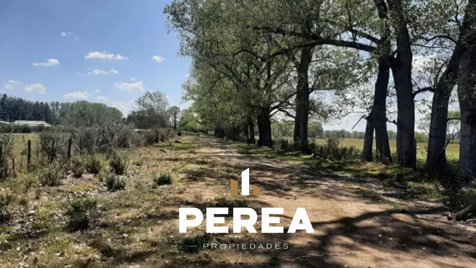 Hectarea en alquiler sobre Ruta 24 - General Rodriguez