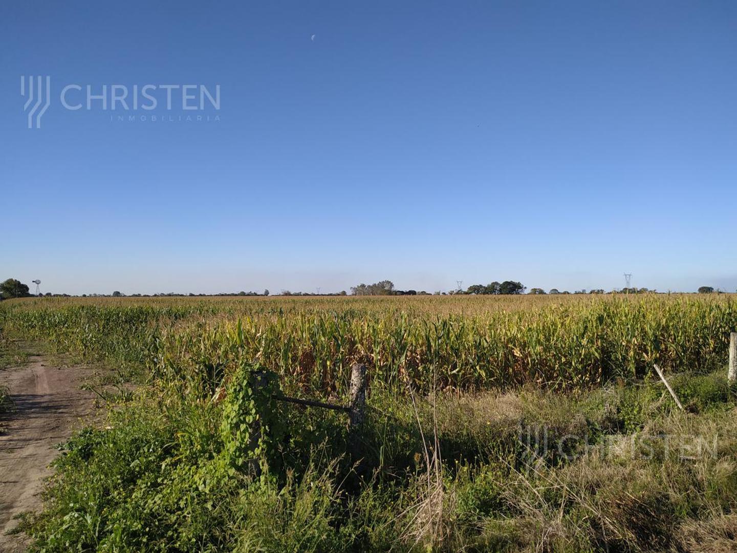 Cayastacito A 500 metros de la ruta 62