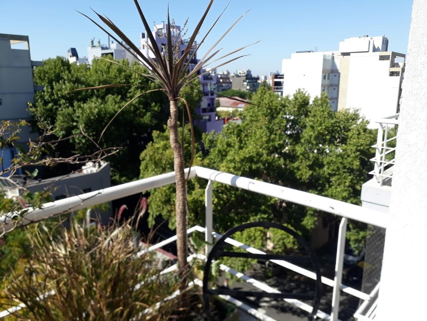 Departamento en Alquiler de 1 dormitorio