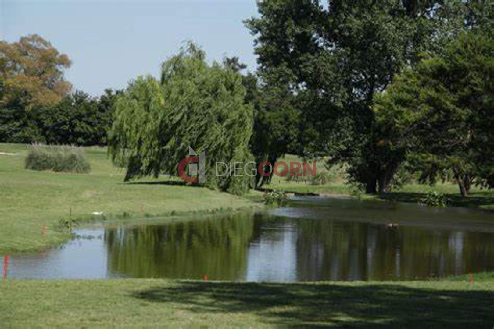 Av. Presidente Juan Domingo Perón 10298