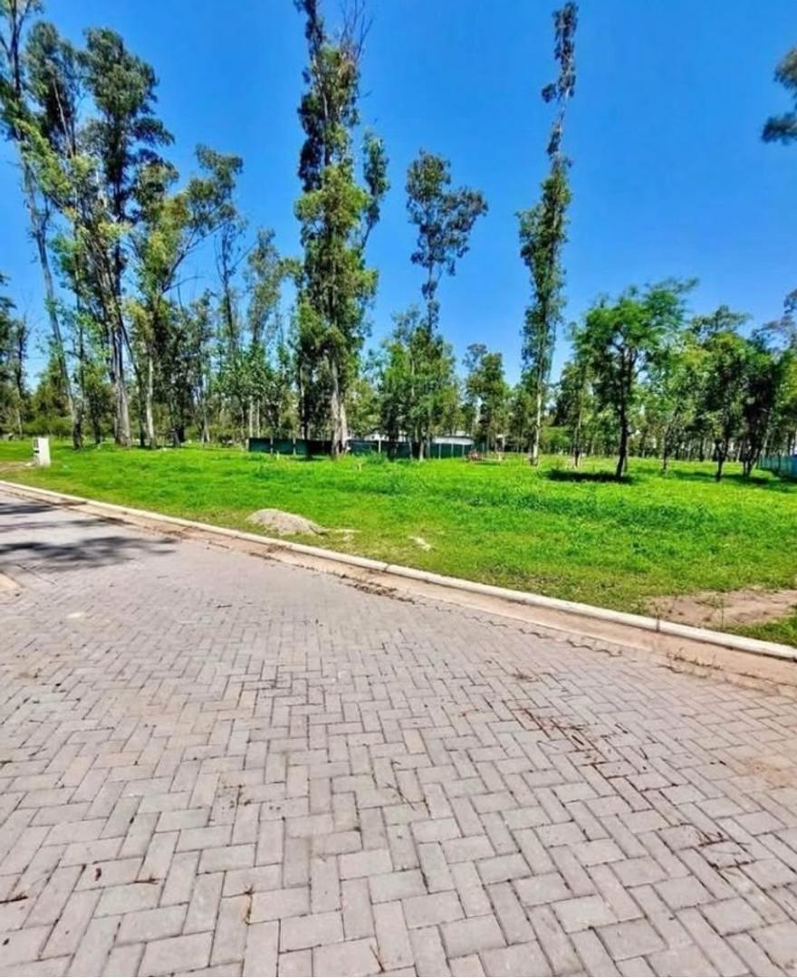 LOTE RESIDENCIAL NUEVO MALAGUEÑO 266 m2 ESCRITURA