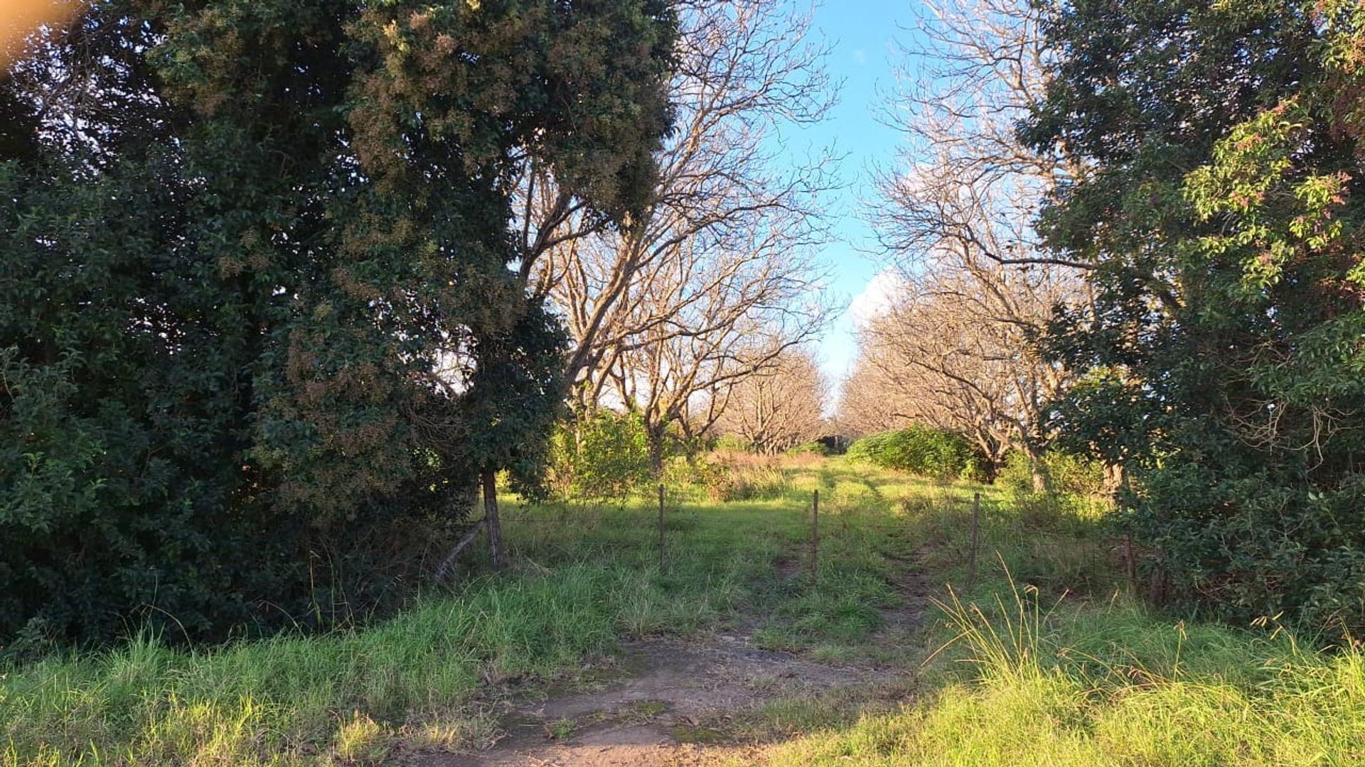 24 has . 300mts Sobre R9, a 700M2 de la ent ppal  S.Martin