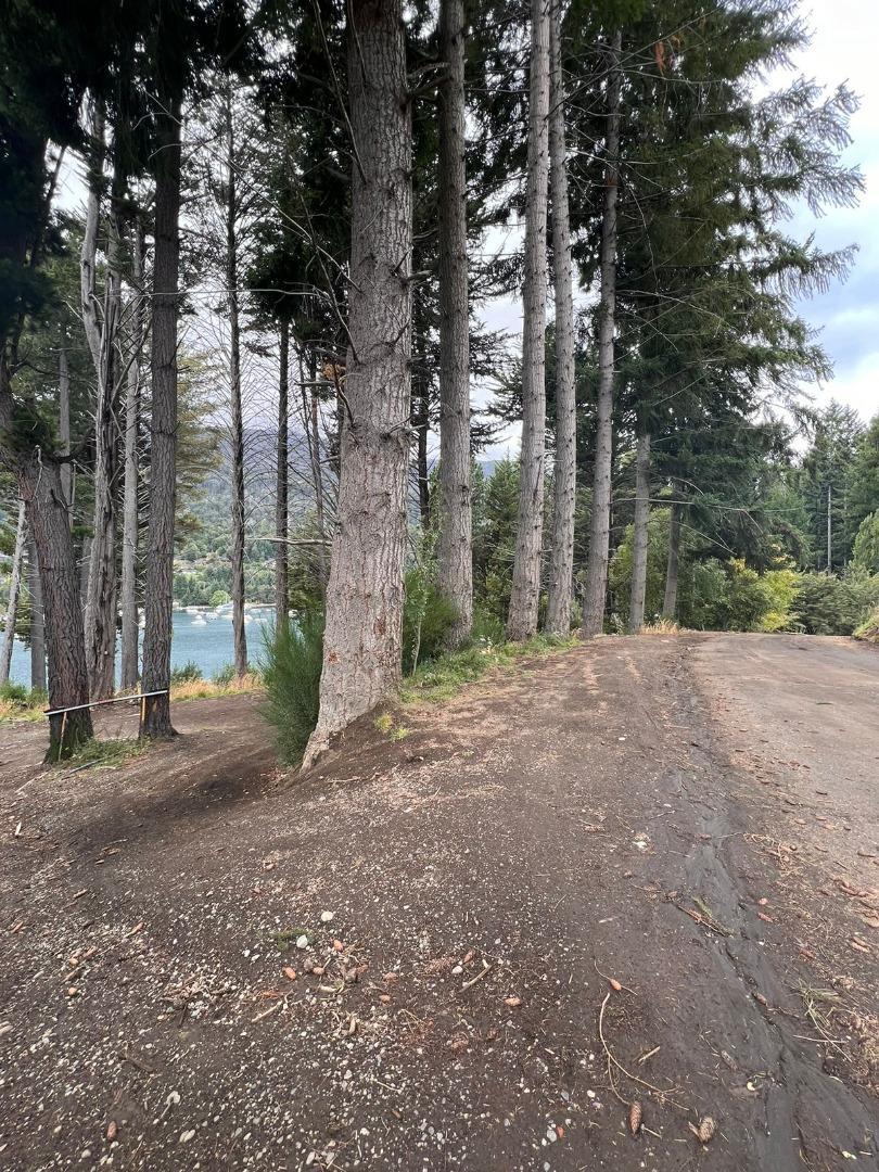 Excelente lote costa de lago Nahuel Huapi - Pnla Manzano