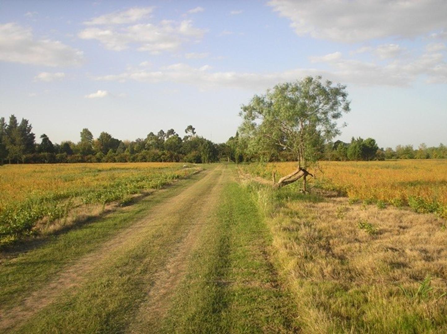 Quinta en Venta en Los Pinares Country Club, USD 750.000