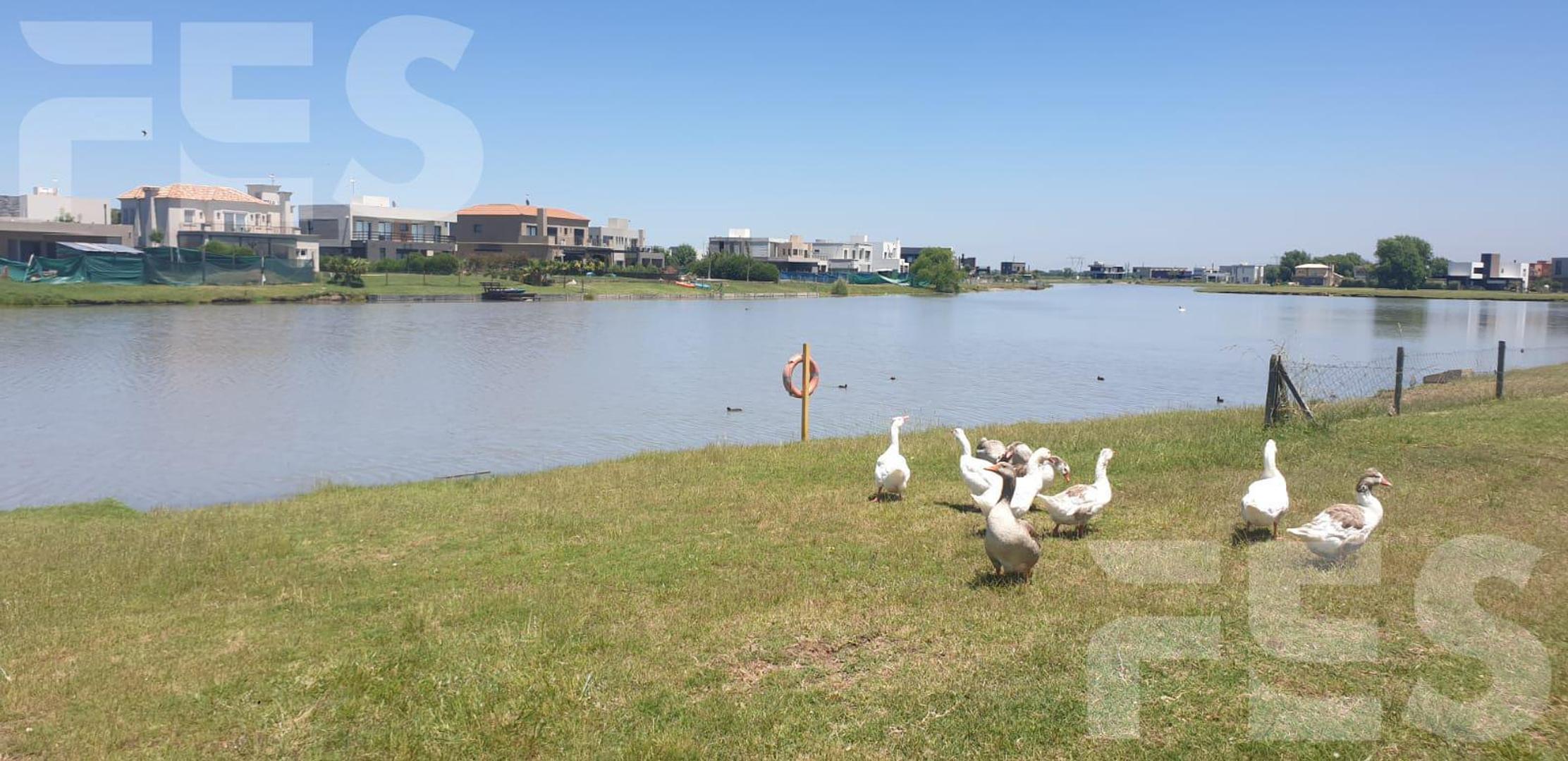 Club de Campo San Lucas