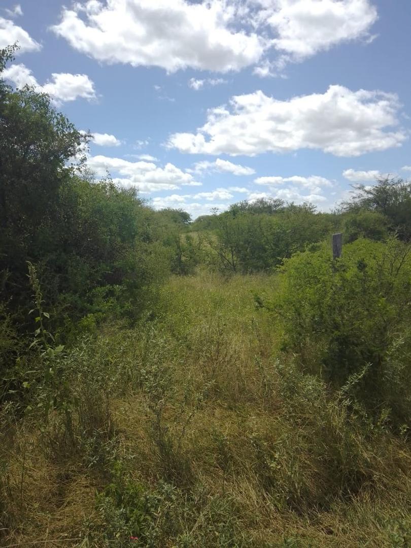 ALQUILER O VENTA CAMPO GANADERO LA CABRAL SAN CRISTOBAL