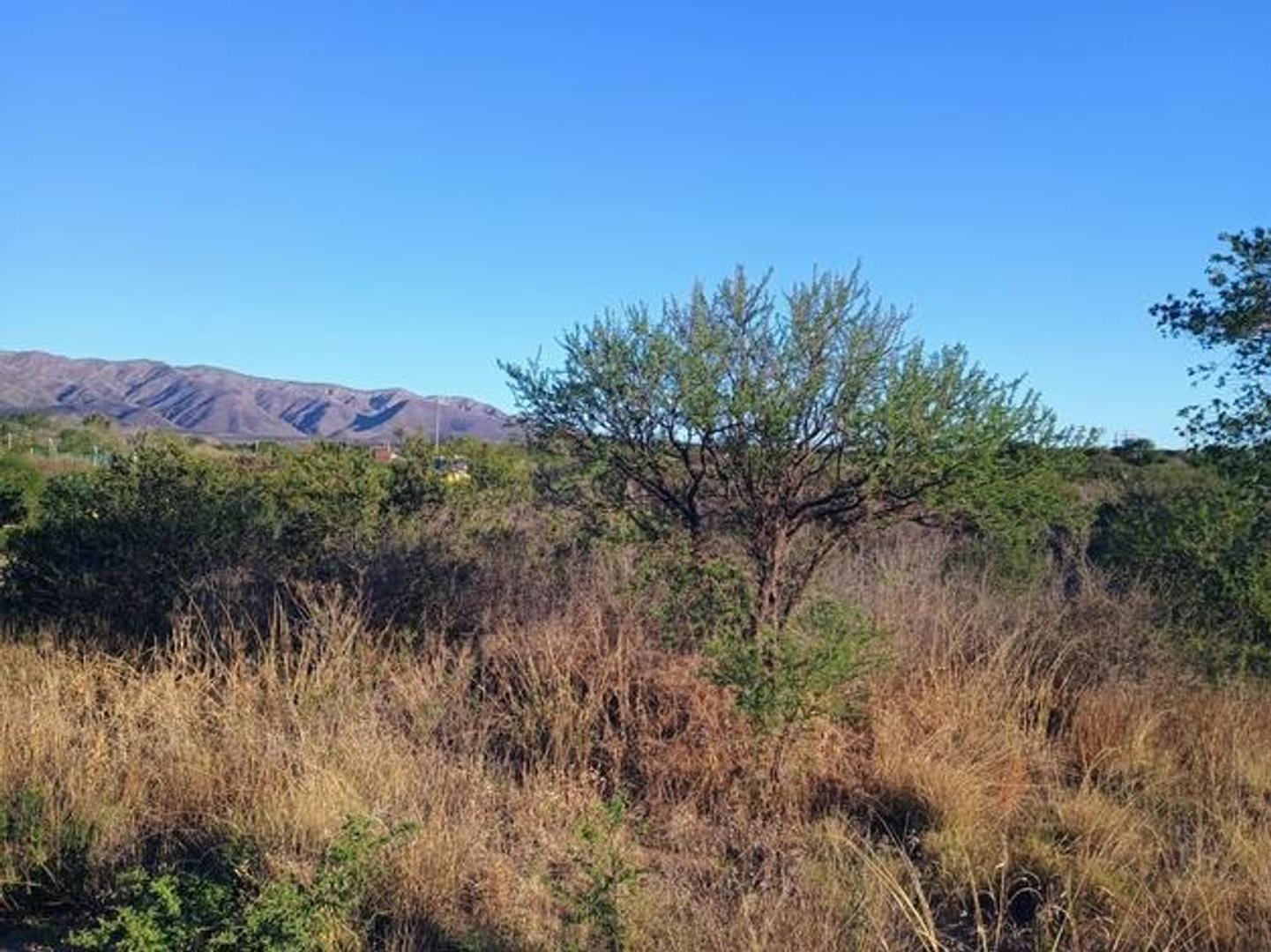 Rio CarcaÑara Esquena Rio Limay 100