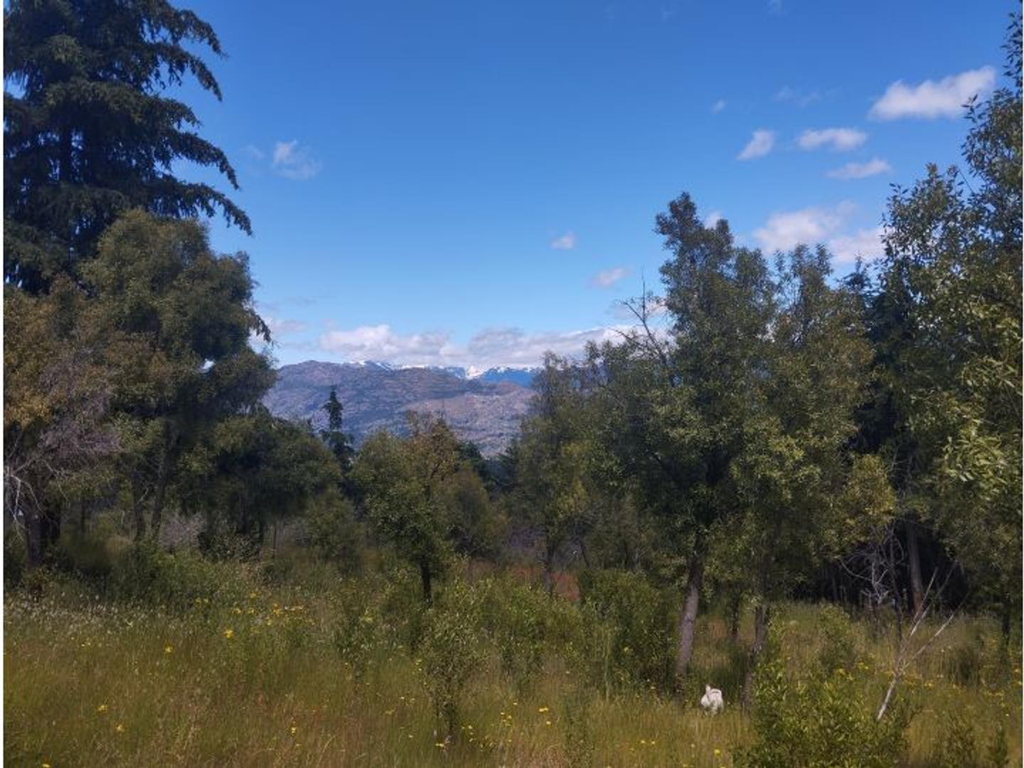 Terreno en Venta de 5026,45 m2