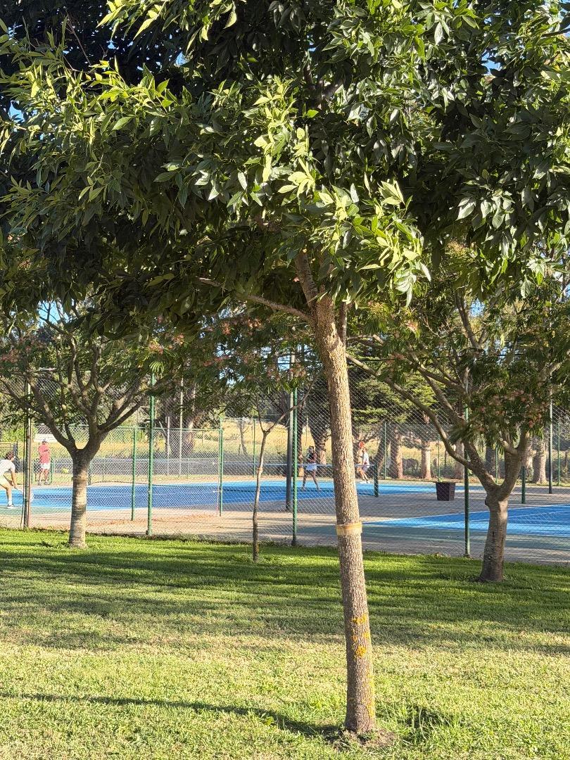 Casa en Alquiler con 2 cocheras