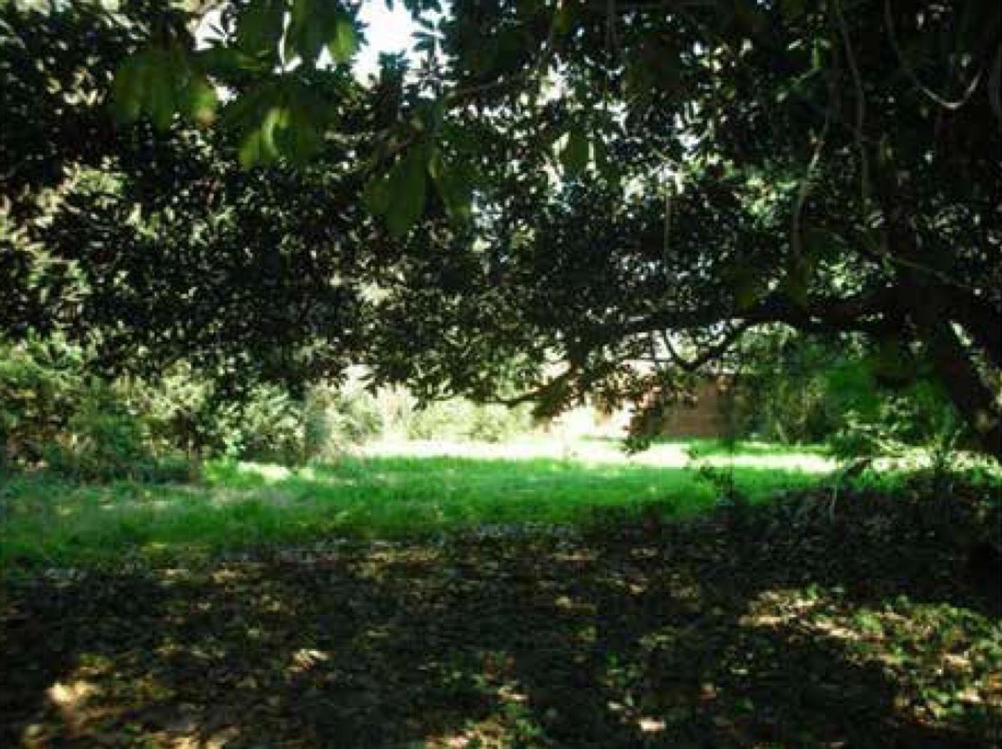 Terreno en Alquiler en Don Torcuato, USD 5.000