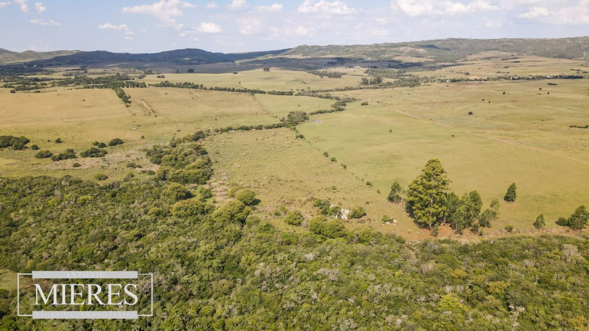 Venta de campo 29 ha con casa en Paso Dutra Maldonado
