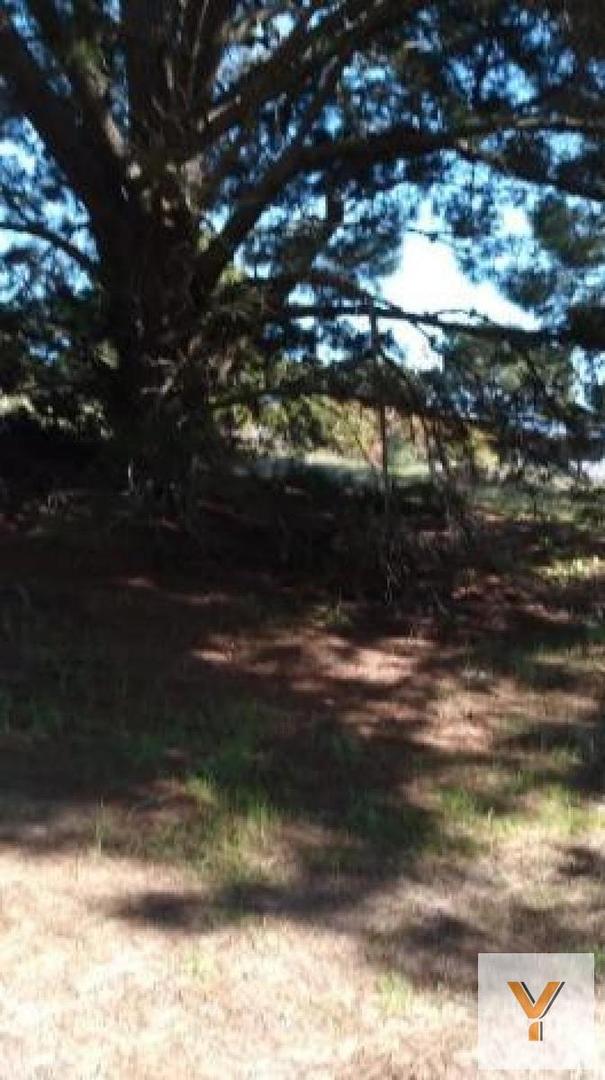 Terreno en Venta de 685,0 m2