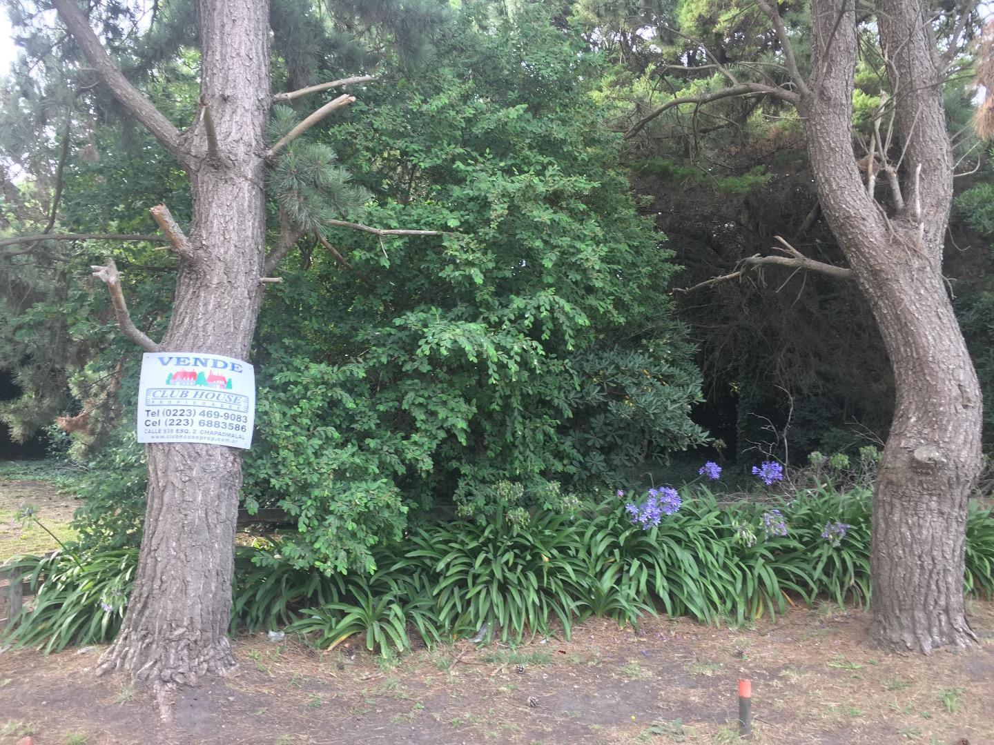 Terreno en Venta en San Eduardo, USD 25.000