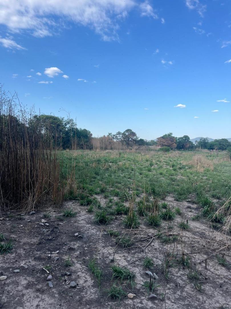 Venta de 3 Hectareas