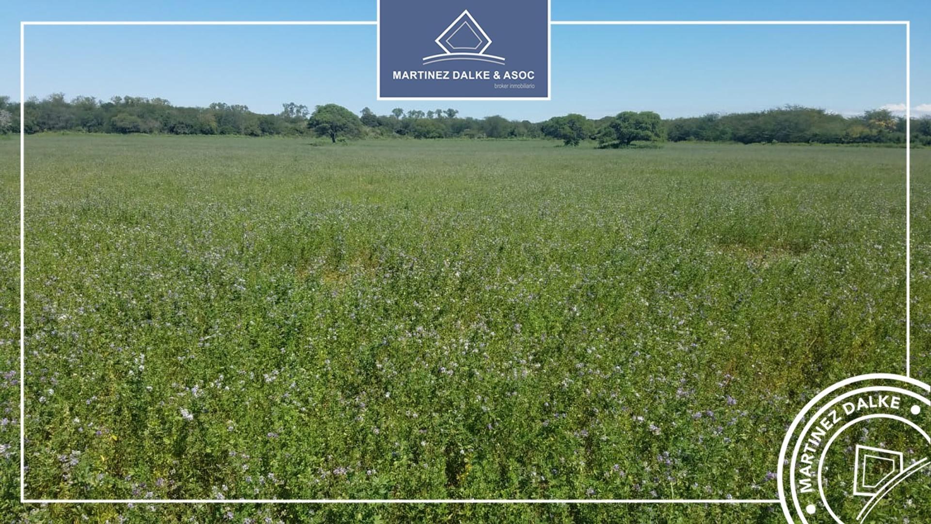 ESTANCIA JESUITICA SANTA CATALINA - Campo de 125 Has con rio